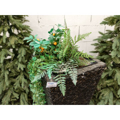 Blumenübertopf + 3 Stk. Christbäume